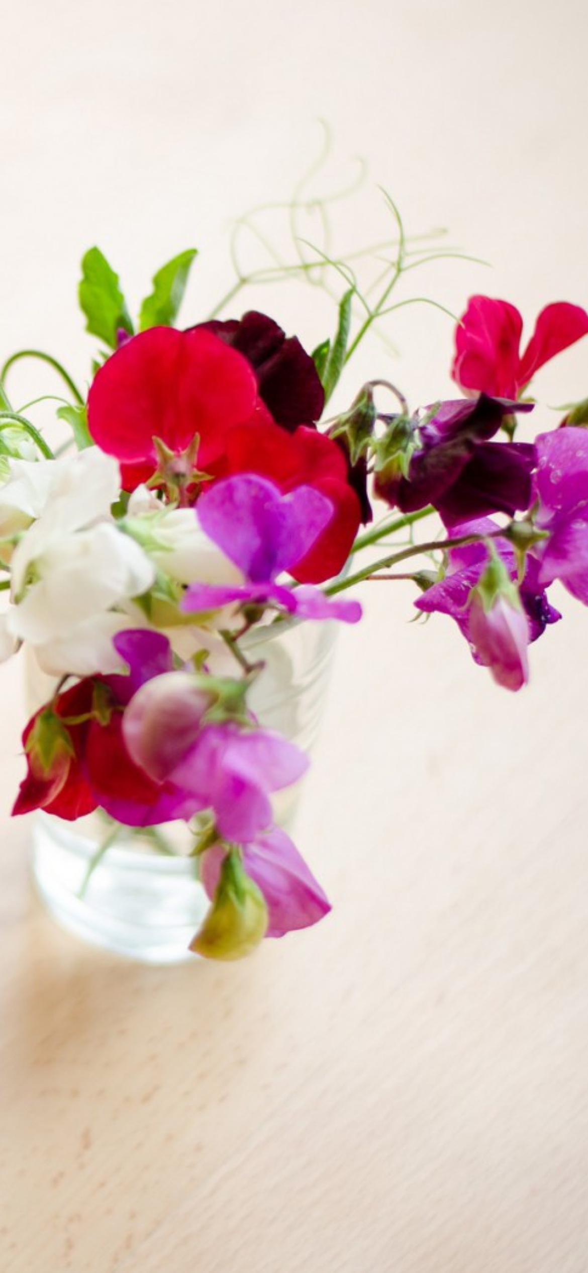 Bright Flowers On Table wallpaper 1170x2532