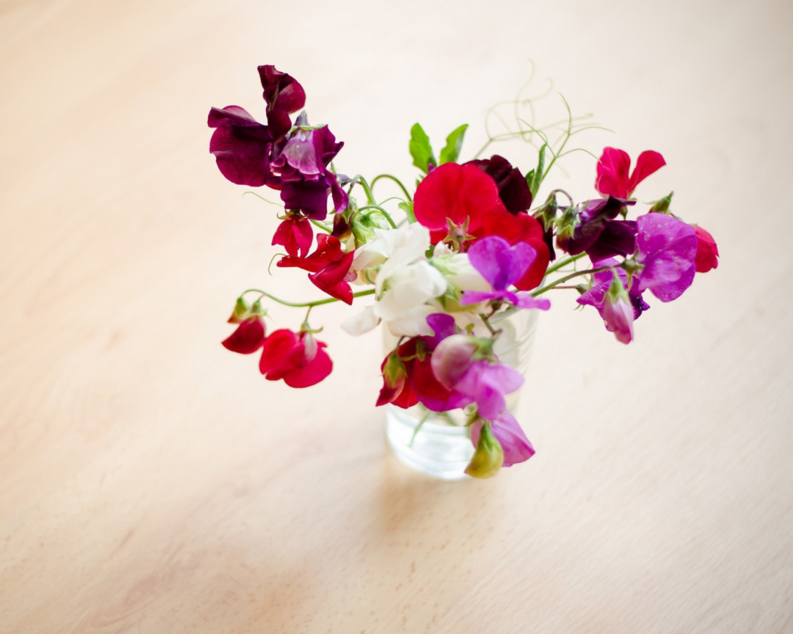 Sfondi Bright Flowers On Table 1600x1280