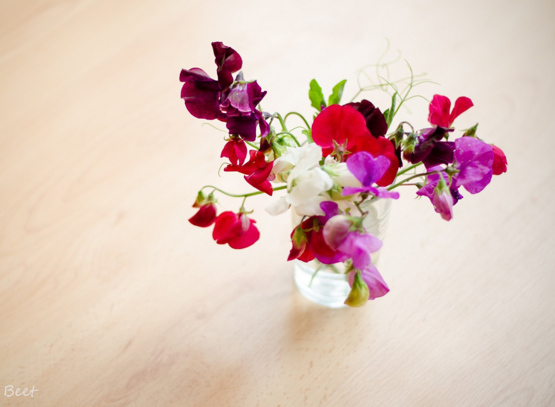 Обои Bright Flowers On Table 1920x1408