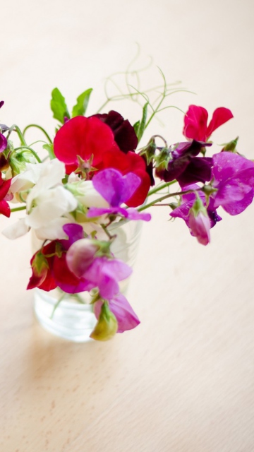 Bright Flowers On Table wallpaper 360x640