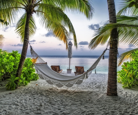 Sfondi Hammock At Maldives Beach 480x400