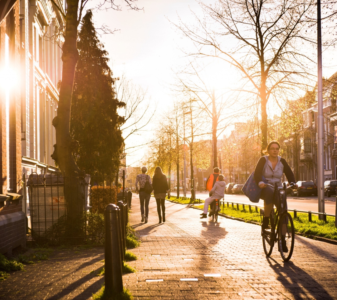 Das Utrecht - Dutch province Wallpaper 1080x960