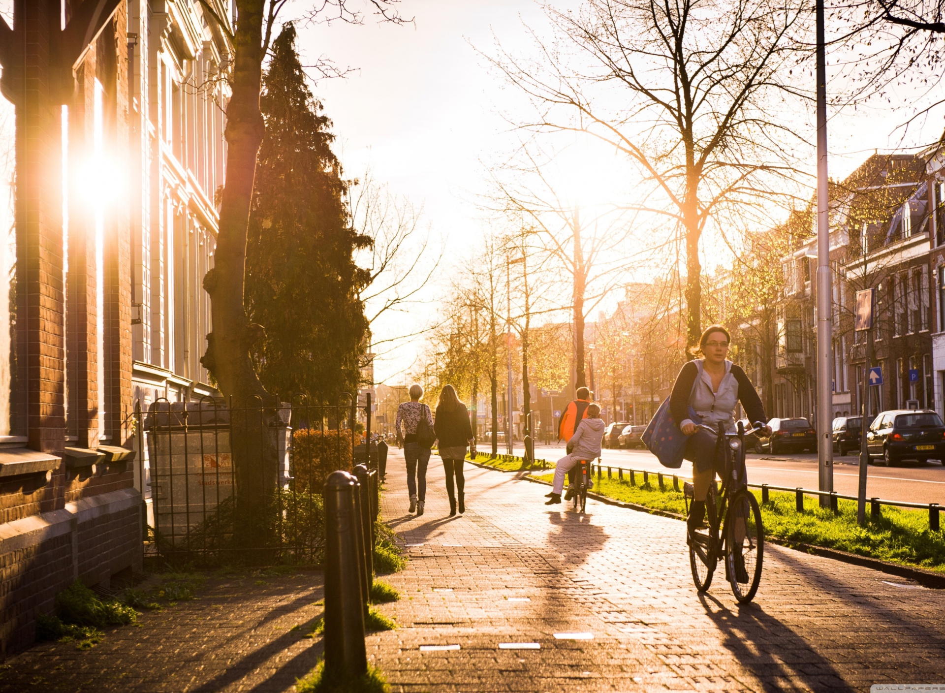 Utrecht - Dutch province screenshot #1 1920x1408