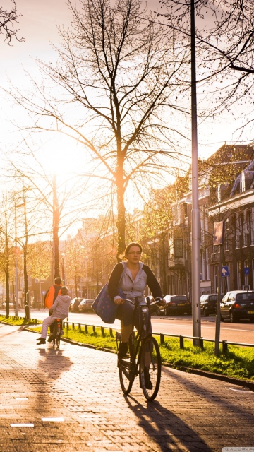 Das Utrecht - Dutch province Wallpaper 360x640