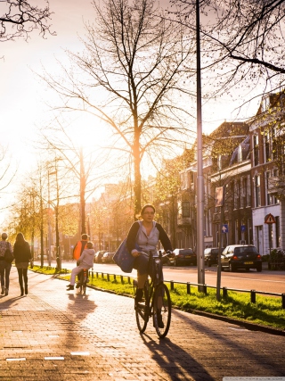 Utrecht - Dutch province - Fondos de pantalla gratis para 320x480