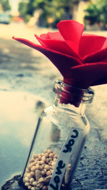 Love You Message In A Bottle wallpaper 360x640