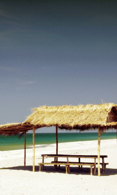 Paradise Beach screenshot #1 240x400