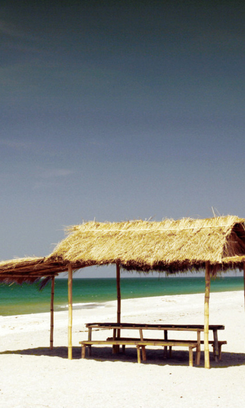 Fondo de pantalla Paradise Beach 480x800