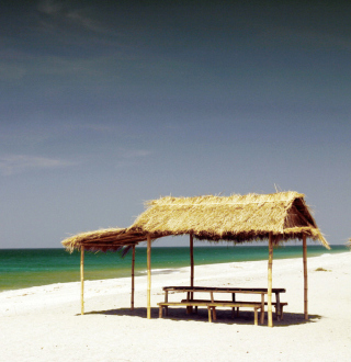Paradise Beach - Obrázkek zdarma pro iPad mini
