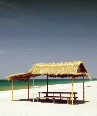 Paradise Beach - Obrázkek zdarma pro Nokia C1-01