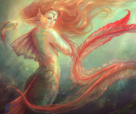 Fondo de pantalla Mermaid Painting 480x400