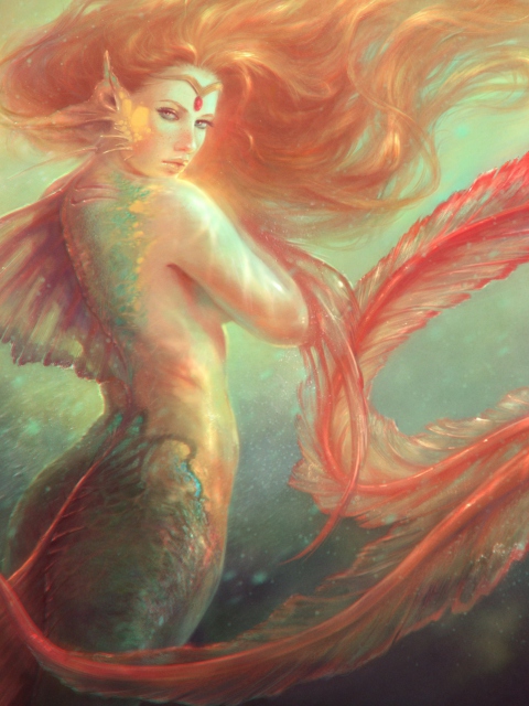 Das Mermaid Painting Wallpaper 480x640