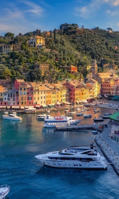 Portofino screenshot #1 240x400