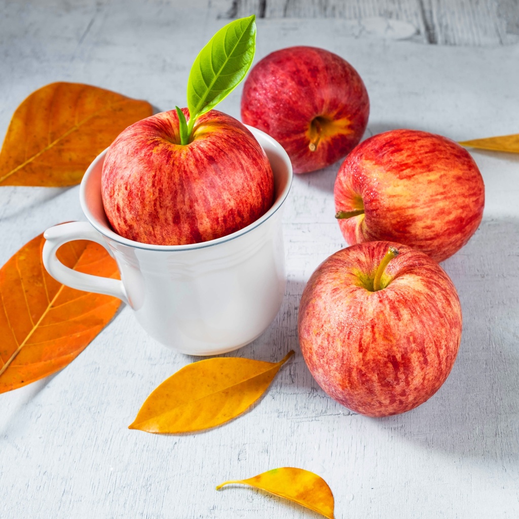 Das Autumn apples Wallpaper 1024x1024