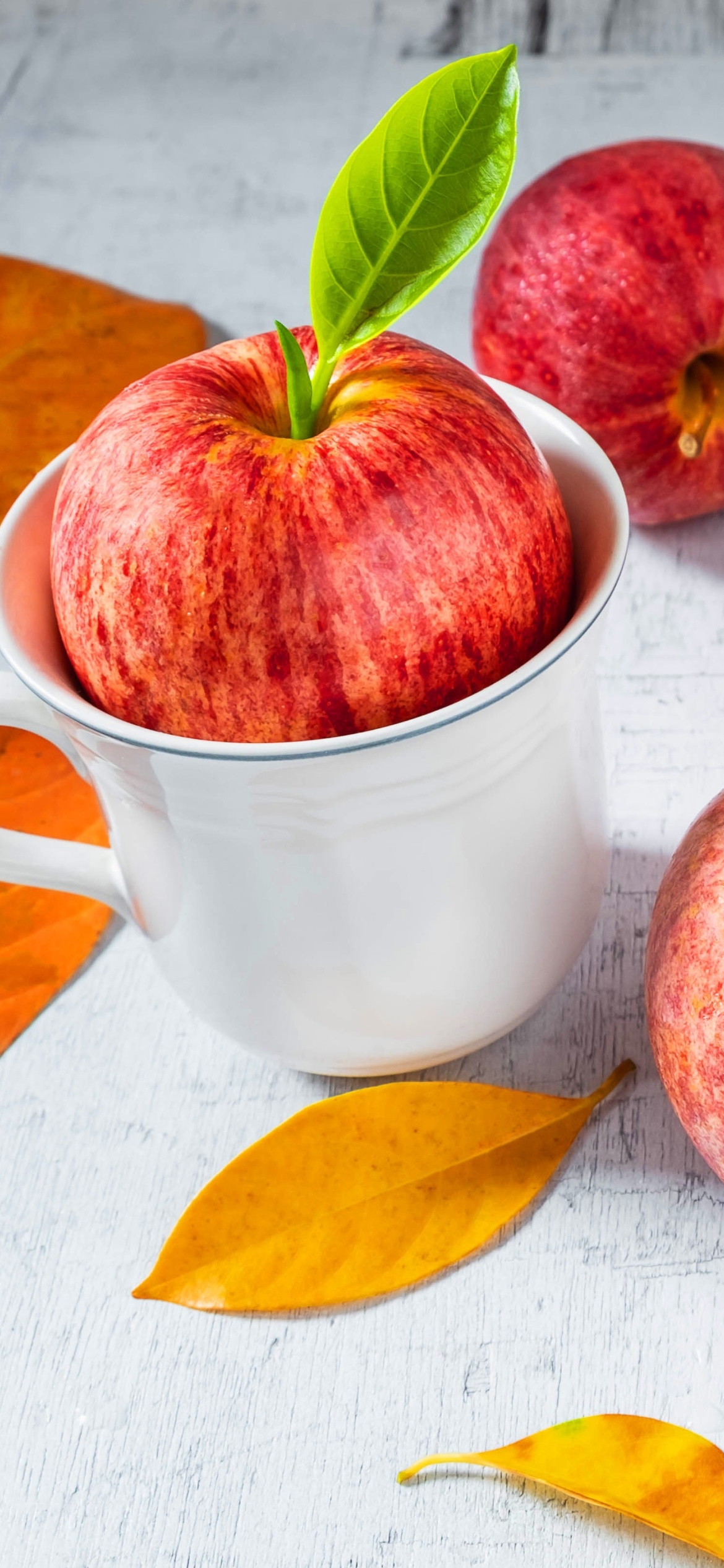 Autumn apples wallpaper 1170x2532