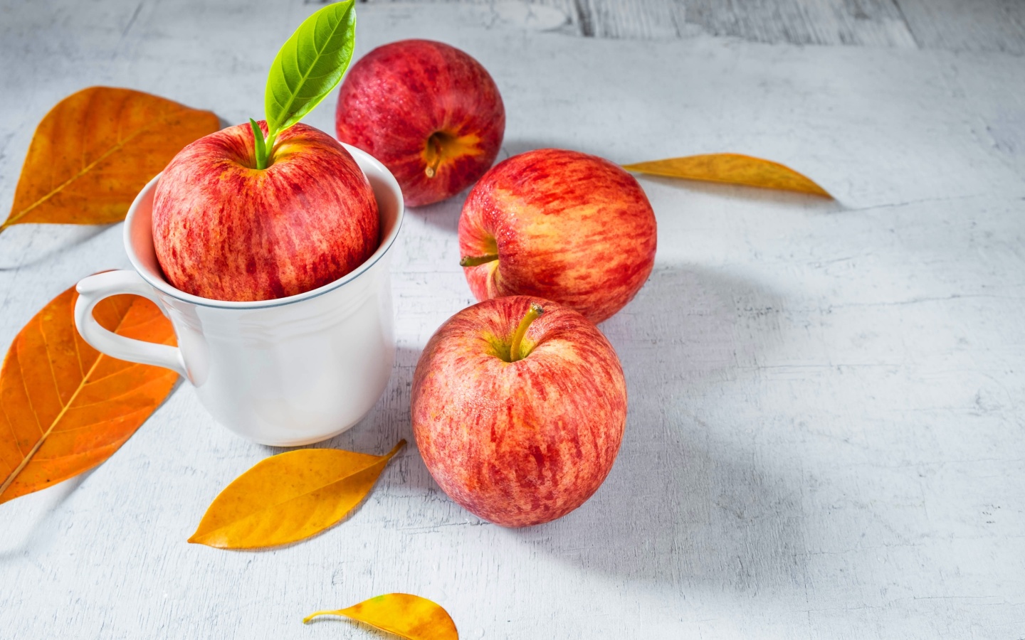 Autumn apples wallpaper 1440x900