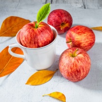 Autumn apples wallpaper 208x208