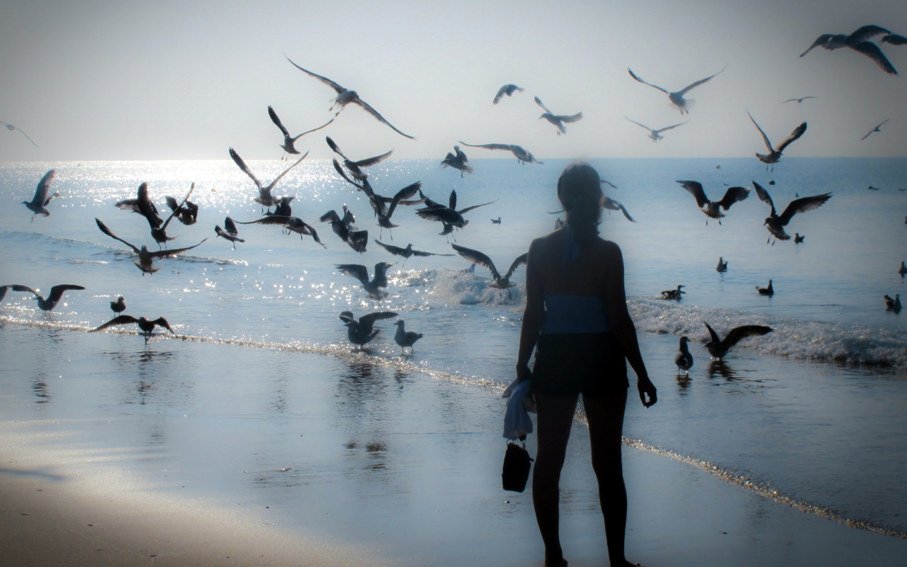 Screenshot №1 pro téma Girl And Seagulls 1280x800