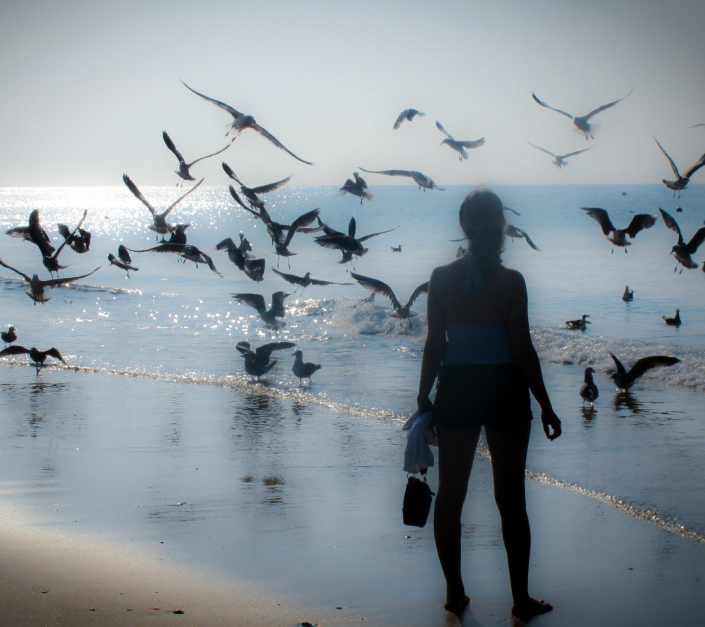Girl And Seagulls screenshot #1 1440x1280