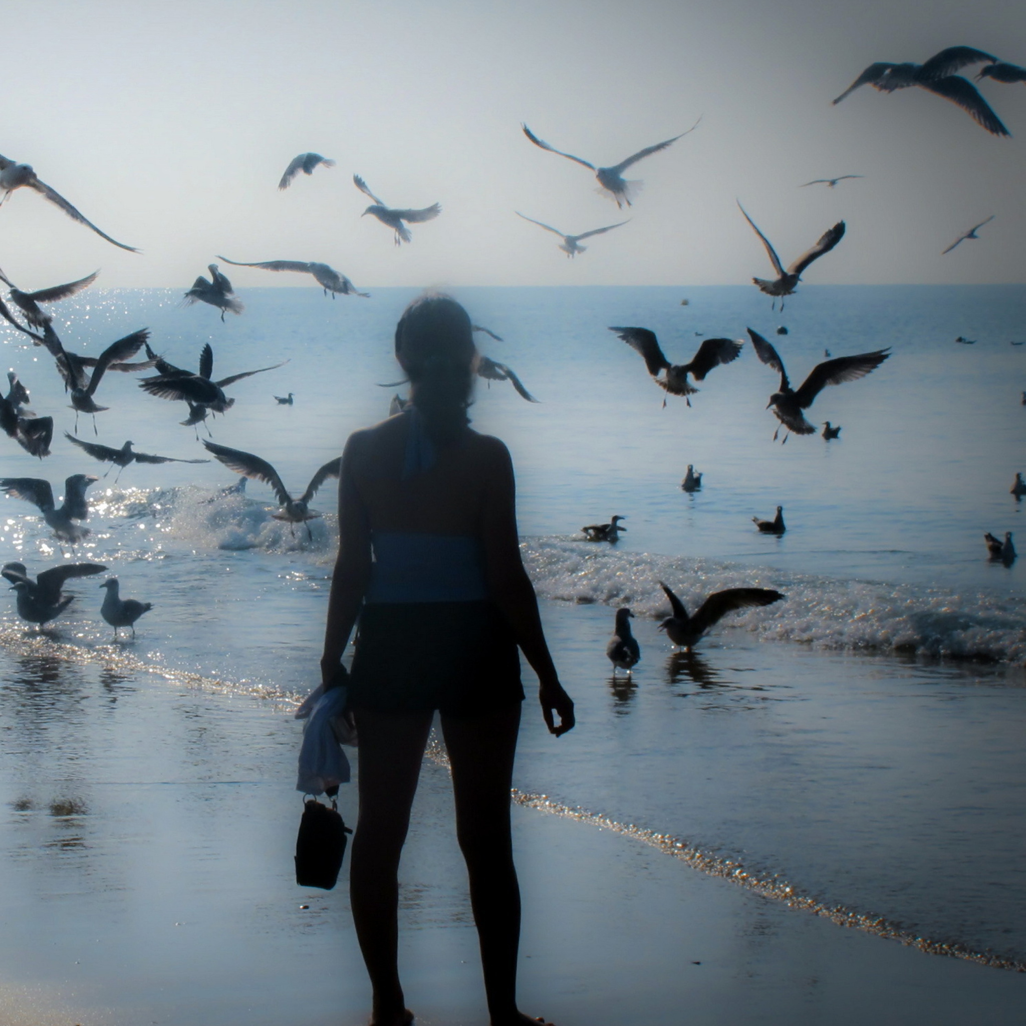 Обои Girl And Seagulls 2048x2048