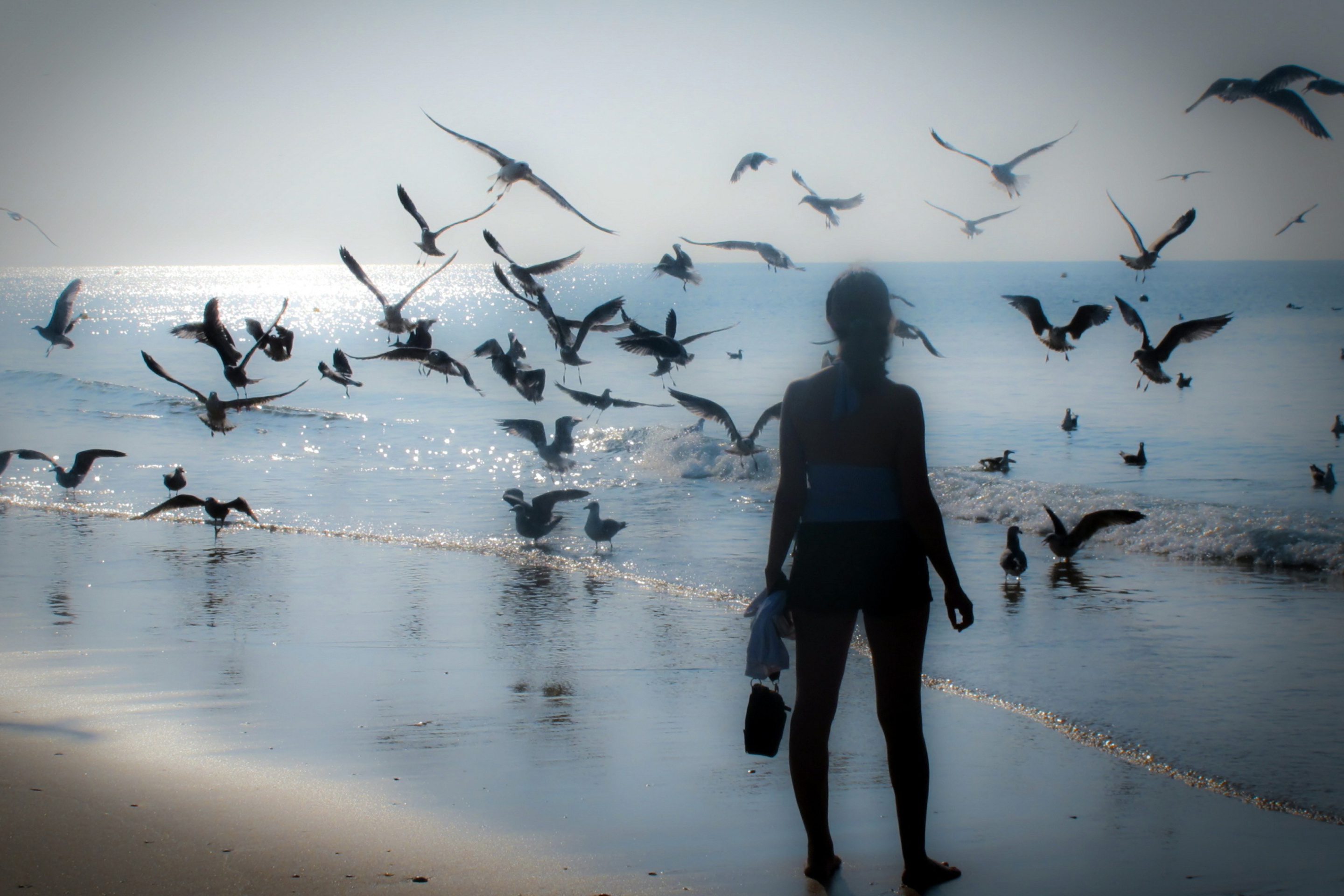 Крае быть свободным. Море птицы девушка. Девушка море Чайки. Человек птица. Девушка и улетающие птицы.