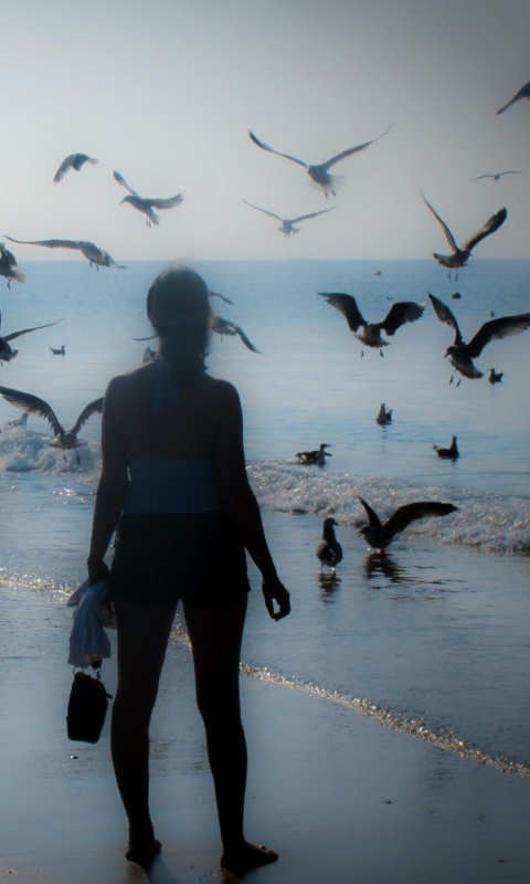 Girl And Seagulls wallpaper 480x800