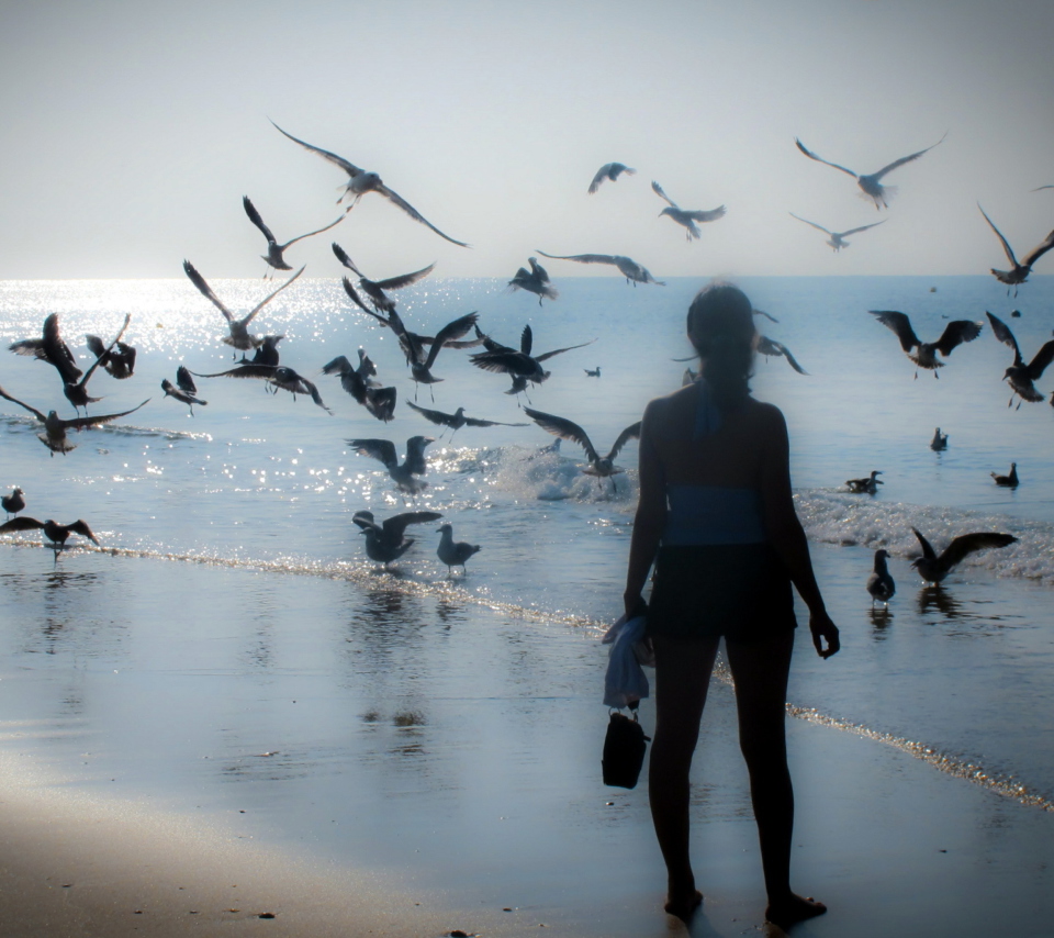 Das Girl And Seagulls Wallpaper 960x854