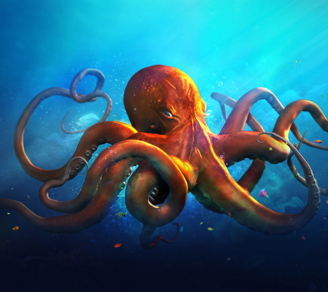 Octopus HD wallpaper 1080x960