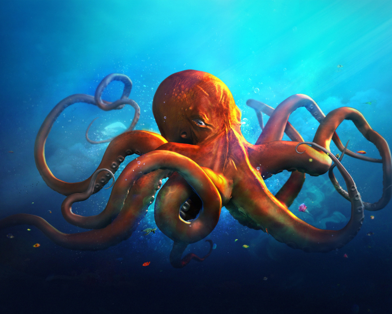 Octopus HD wallpaper 1280x1024