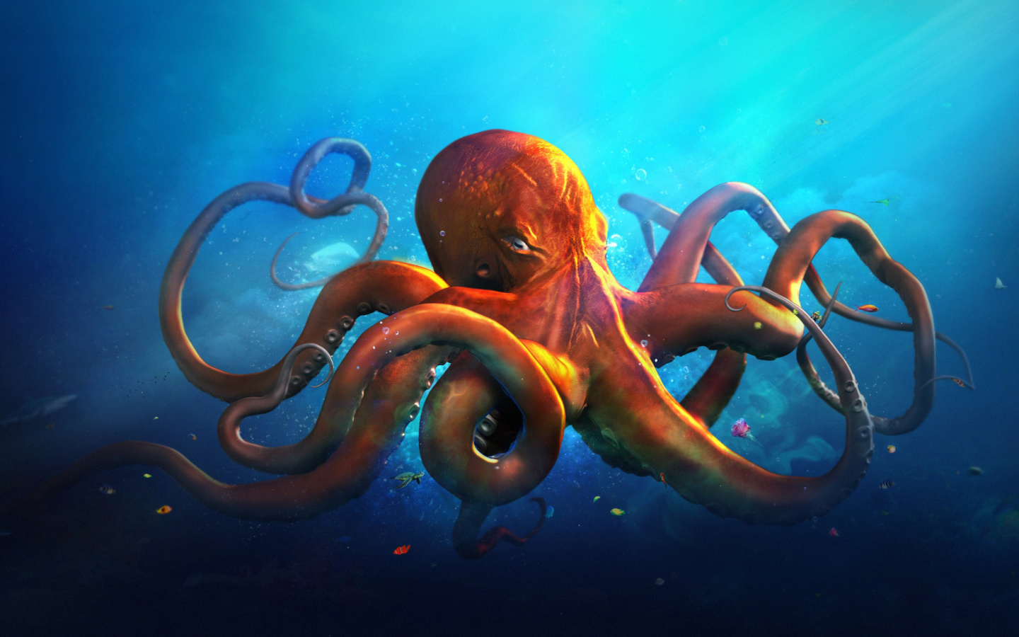Обои Octopus HD 1440x900