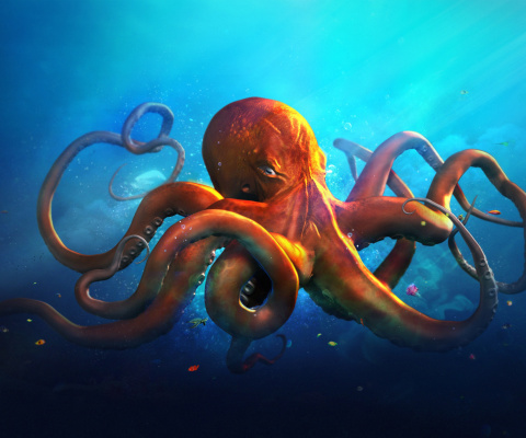 Sfondi Octopus HD 480x400