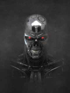 Terminator Endoskull screenshot #1 240x320