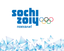 Обои Winter Olympics In Sochi Russia 2014 220x176