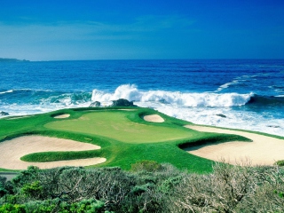 Обои Golf Field By Sea 320x240