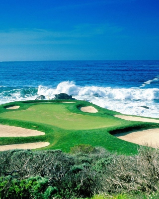 Kostenloses Golf Field By Sea Wallpaper für Samsung I8350 Omnia W