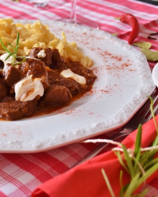 Free Hungarian Goulash Picture for 240x320