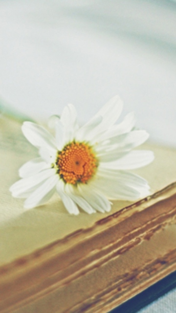 Book And Daisy wallpaper 360x640