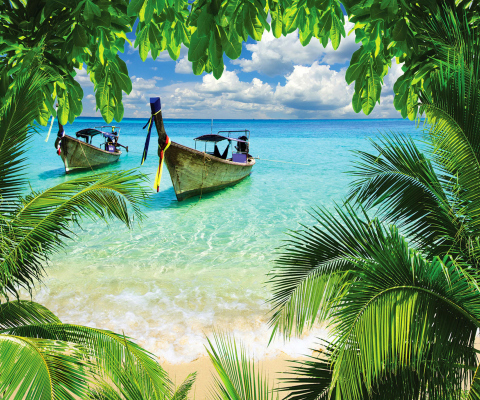 Das Tropical Beach In Curacao Wallpaper 480x400