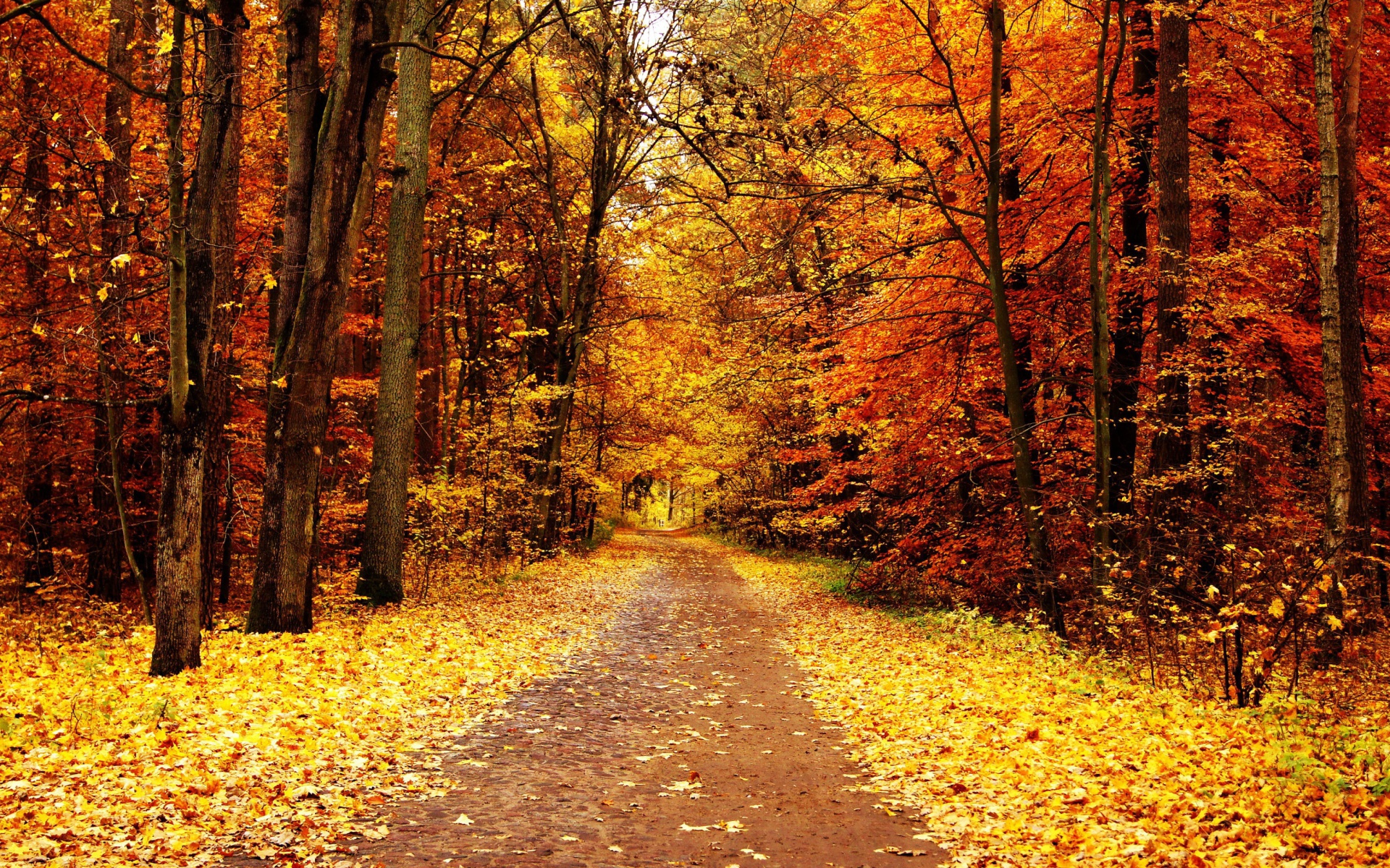 Sfondi Autumn Pathway 1920x1200