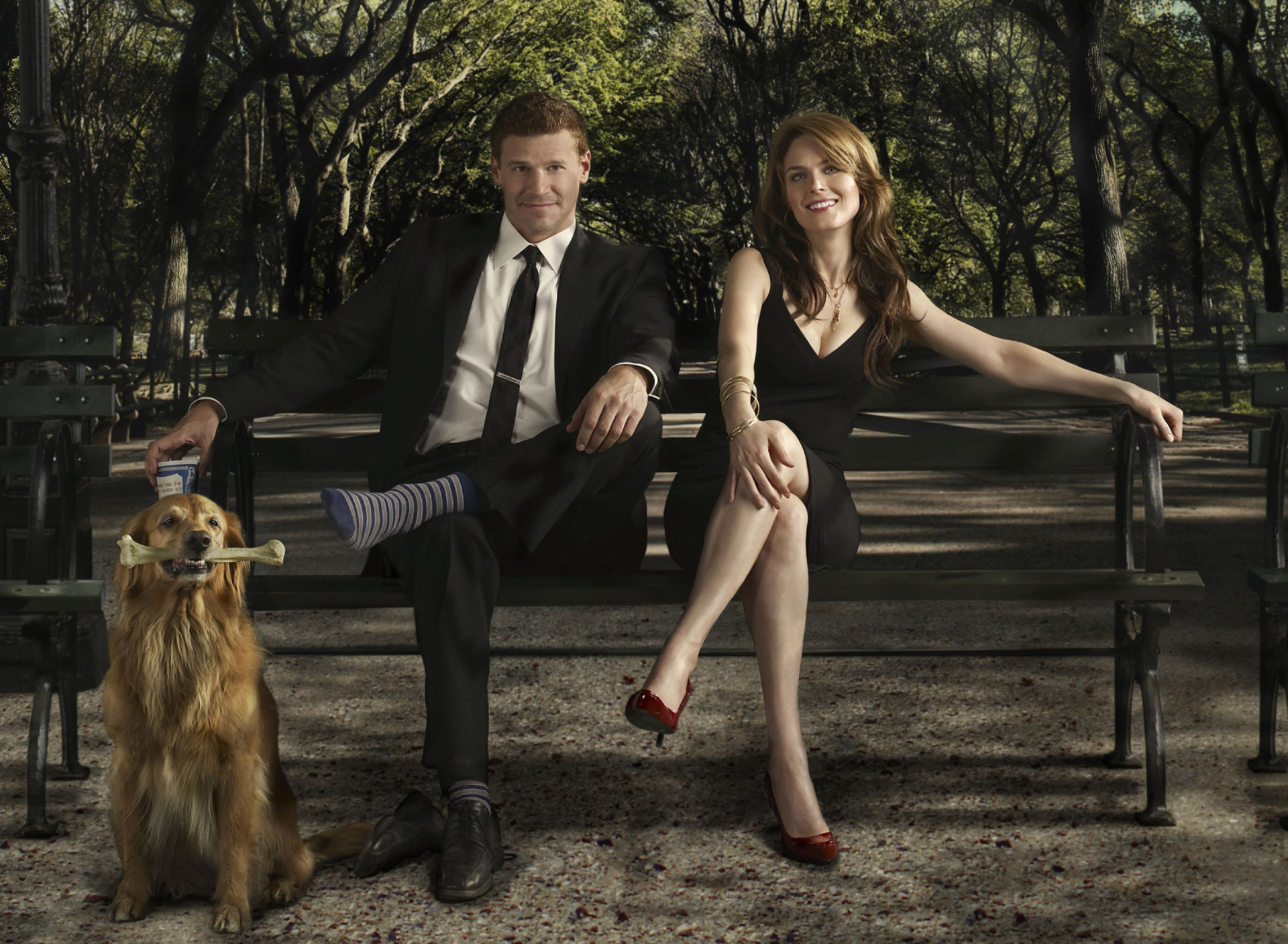 Bones Television Film wallpaper 1920x1408