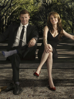 Bones Television Film wallpaper 240x320