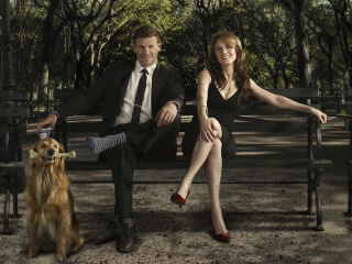 Bones Television Film wallpaper 320x240