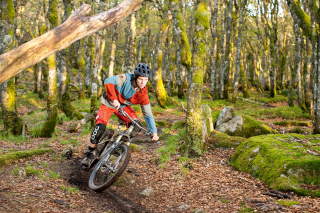 Free Mountainbike Picture for Android, iPhone and iPad