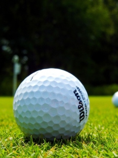 Fondo de pantalla Golf Ball 240x320