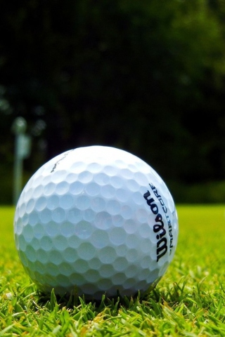 Screenshot №1 pro téma Golf Ball 320x480
