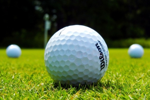 Screenshot №1 pro téma Golf Ball 480x320