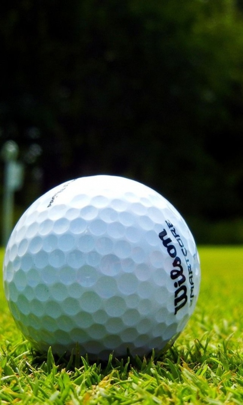 Golf Ball wallpaper 480x800