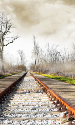 Autumn Railway wallpaper 240x400