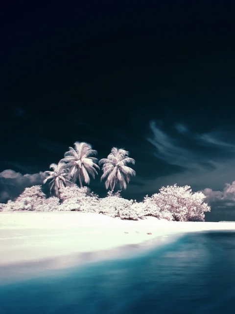 Snow White Beach screenshot #1 480x640