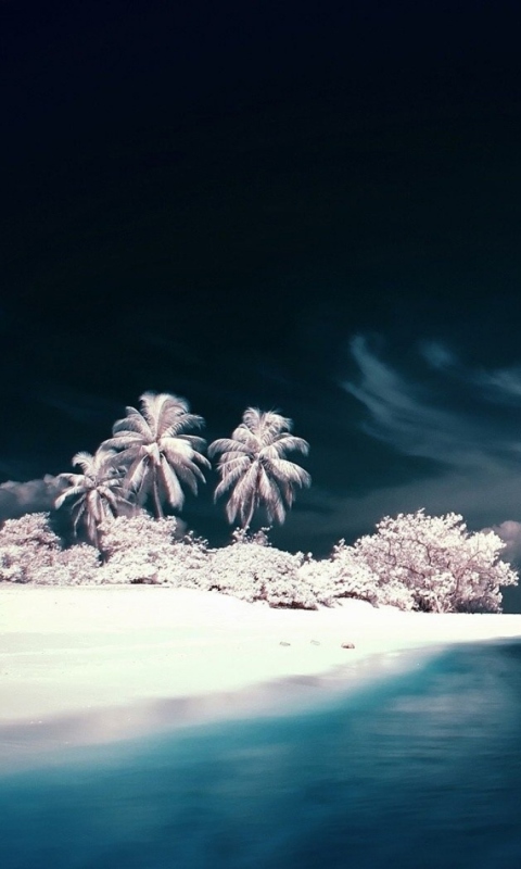 Snow White Beach wallpaper 480x800